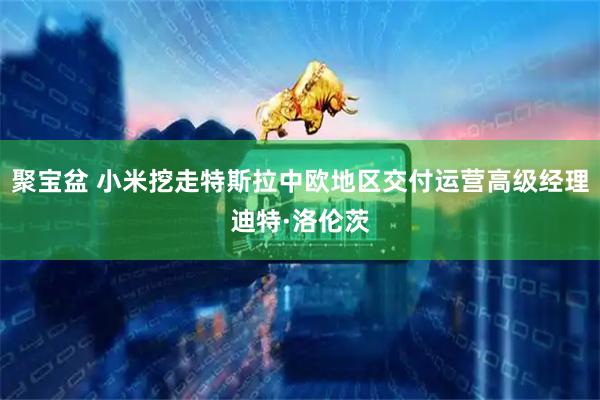 聚宝盆 小米挖走特斯拉中欧地区交付运营高级经理迪特·洛伦茨