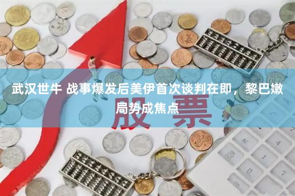 武汉世牛 战事爆发后美伊首次谈判在即，黎巴嫩局势成焦点